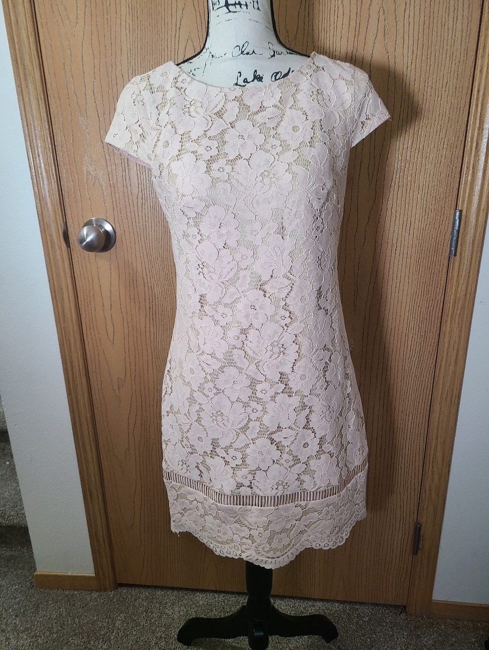 Vince Camuto Blush Nude Lace Cap Sleeve Scallop Hem Cocktail Wedding Guest Dress - Picture 2 of 5